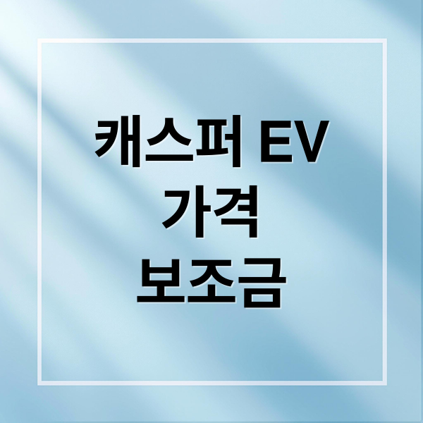 캐스퍼 EV
가격
보조금 (캐스퍼 일렉트릭 EV 가격 보조금)