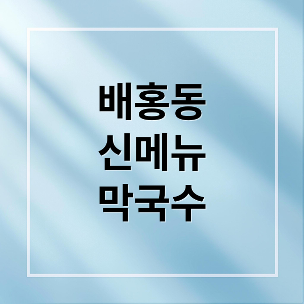 배홍동
신메뉴
막국수 (배홍동 막국수 신제품 후기)