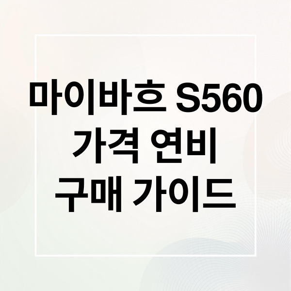 마이바흐 S560
가격 연비
구매 가이드 (마이바흐 S560 가격 연비)