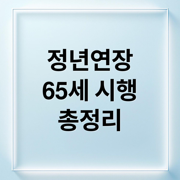 정년연장
65세 시행
총정리 (정년연장 법안 시행시기 65세)