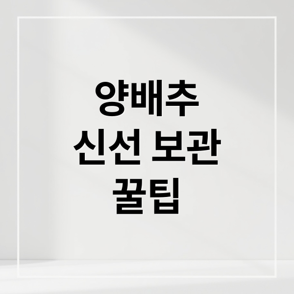 양배추
신선 보관
꿀팁 (양배추 보관법 냉장 보관)