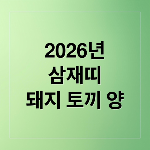 2026년
삼재띠
돼지 토끼 양 (2026년 삼재띠 돼지 토끼 양띠)