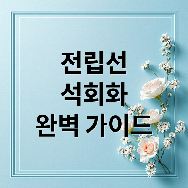 전립선
석회화
완벽 가이드 (전립선 석회화 치료법)