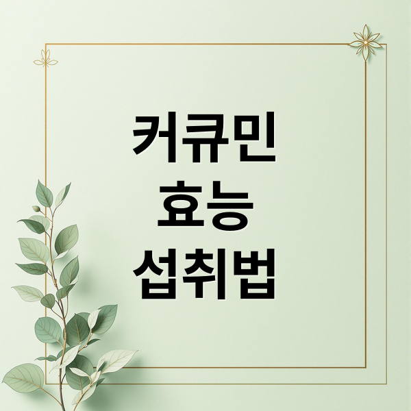 커큐민
효능
섭취법 (커큐민 효능 섭취 팁)
