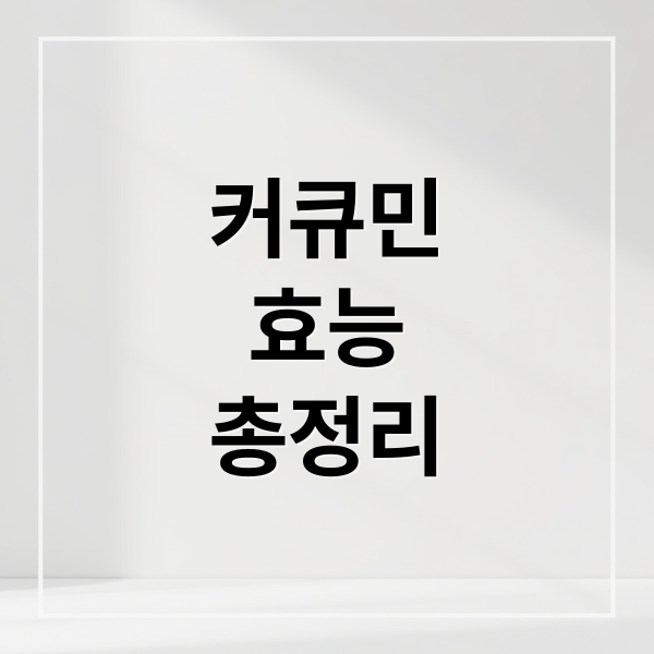 커큐민
효능
총정리 (커큐민 효능 섭취 팁)
