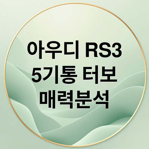 아우디 RS3
5기통 터보
매력분석 (아우디 RS3)