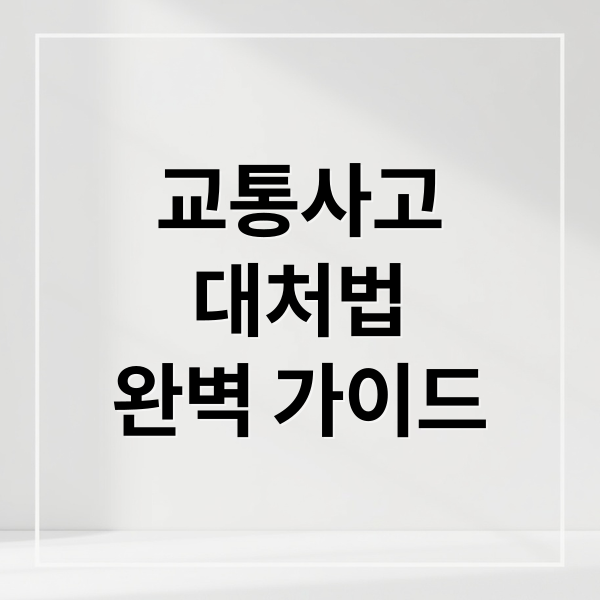 교통사고
대처법
완벽 가이드 (교통사고 처리 절차 과실비율 합의)