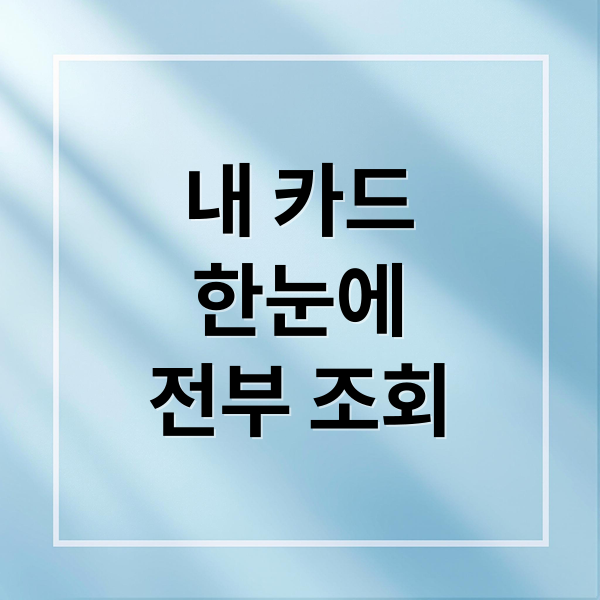 내 카드
한눈에
전부 조회 (내카드 한눈에 전부조회)