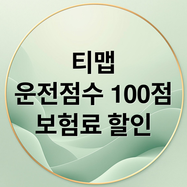 티맵
운전점수 100점
보험료 할인 (티맵 운전점수 초기화)