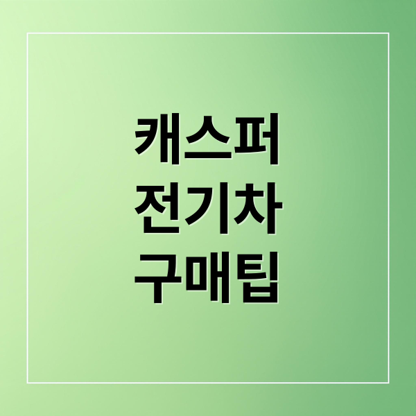 캐스퍼
전기차
구매팁 (캐스퍼 일렉트릭 EV 가격 보조금)
