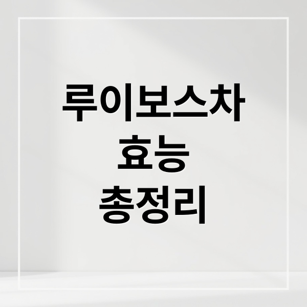 루이보스차
효능
총정리 (루이보스 차 섭취 가이드 총정리)