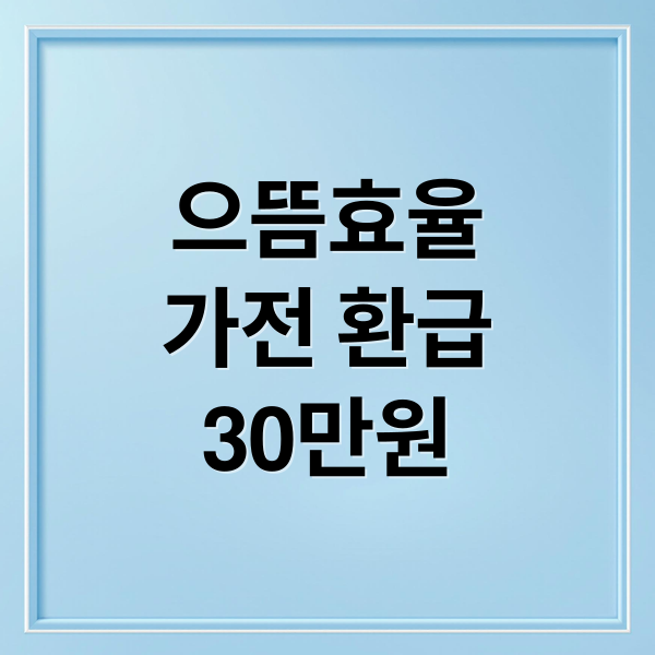 으뜸효율
가전 환급
30만원 (으뜸효율 가전 30만원 환급)