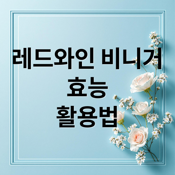 레드와인 비니거
효능
활용법 (레드와인비니거 효능 활용법)