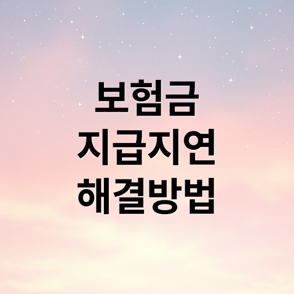 보험금
지급지연
해결방법 (보험금 지급지연 대처법)