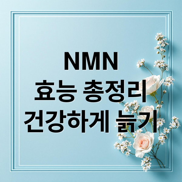 NMN
효능 총정리
건강하게 늙기 (NMN)