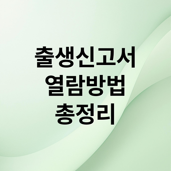 출생신고서
열람방법
총정리 (출생신고서 열람)