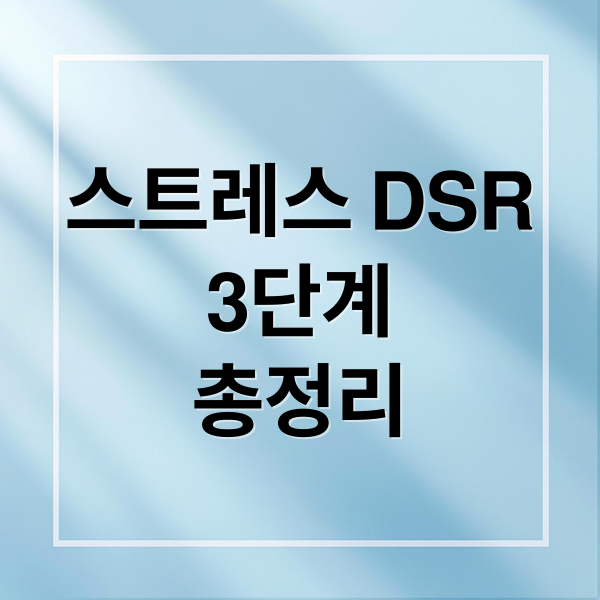 스트레스 DSR
3단계
총정리 (스트레스DSR 3단계)