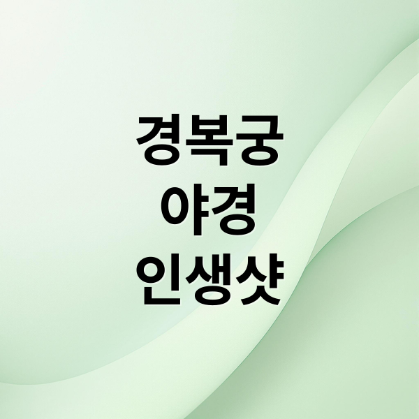 경복궁
야경
인생샷 (경복궁 야경 맛집 & 촬영 명소)