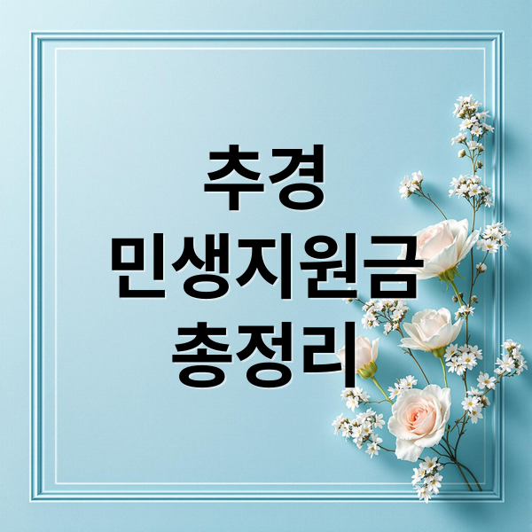 추경
민생지원금
총정리 (추경 민생지원금)