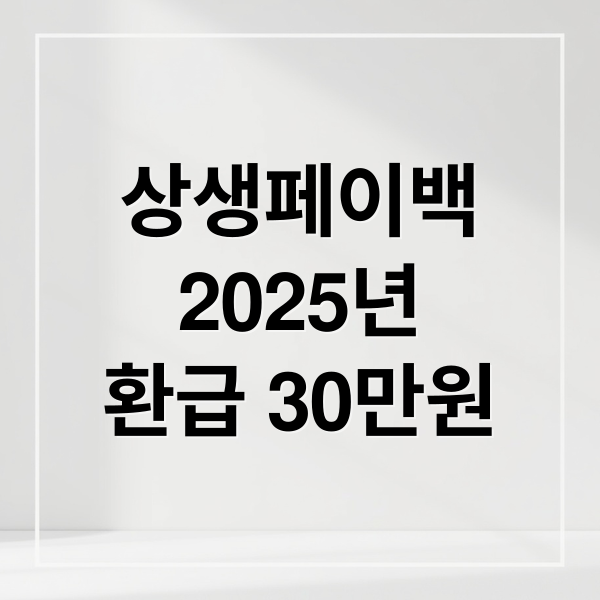 상생페이백
2025년
환급 30만원 (상생페이백 신청 방법 환급금액)