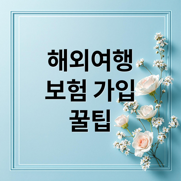 해외여행
보험 가입
꿀팁 (여행자보험 인터넷 가입)