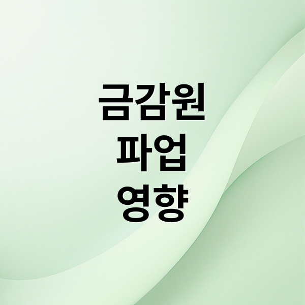 금감원
파업
영향 (금융감독원 파업)
