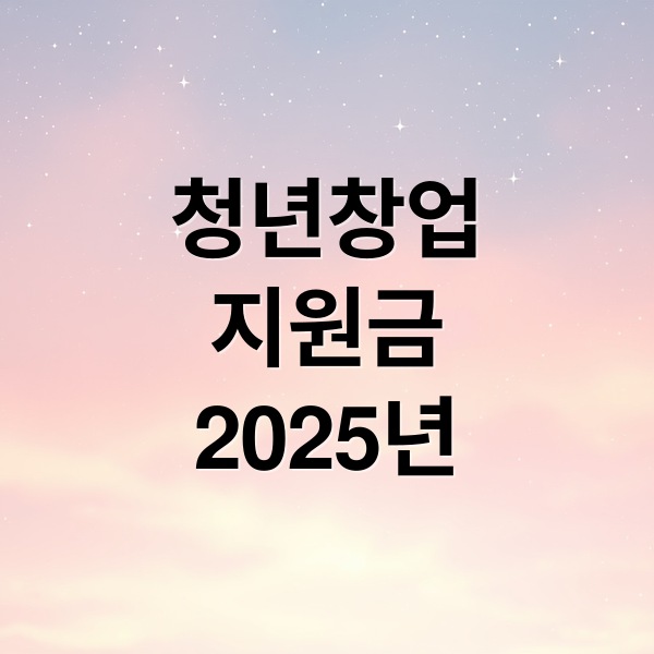 청년창업
지원금
2025년 (2025년 창업 정부 지원금)