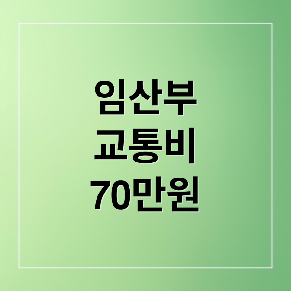 임산부
교통비
70만원 (서울시 임산부 교통비 지원)