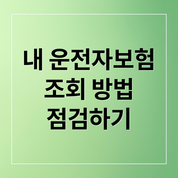 내 운전자보험
조회 방법
점검하기 (운전자보험 조회 방법)