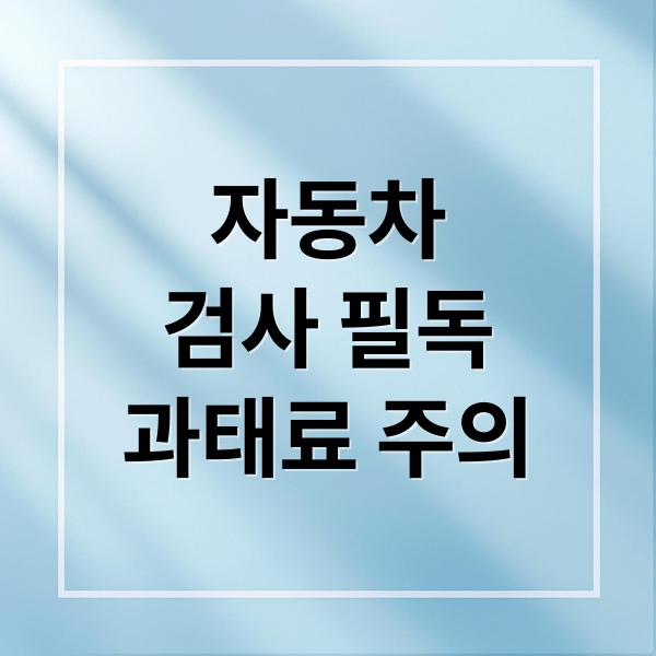 자동차
검사 필독
과태료 주의 (자동차 검사 조회 비용 예약)