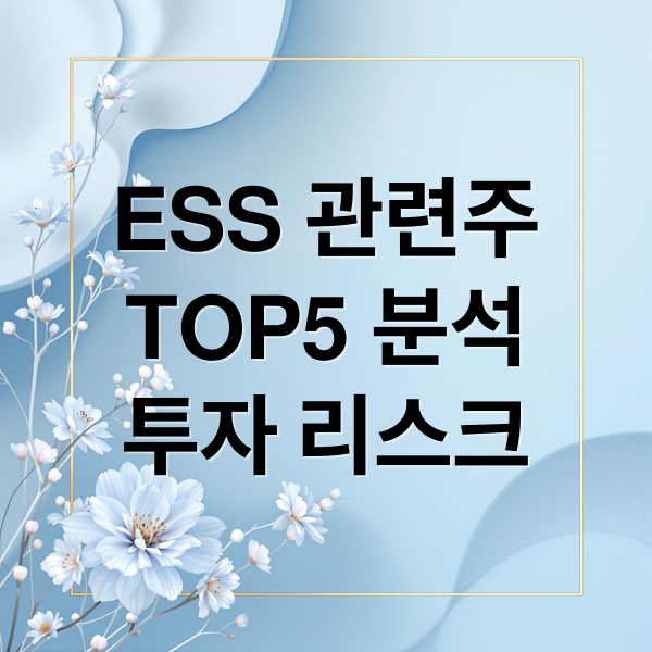 ESS 관련주
TOP5 분석
투자 리스크 (ESS 관련주 대장주 TOP5)