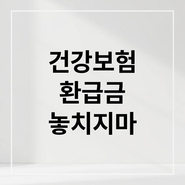 2025 건강보험 환급금 신청 요약 이미지