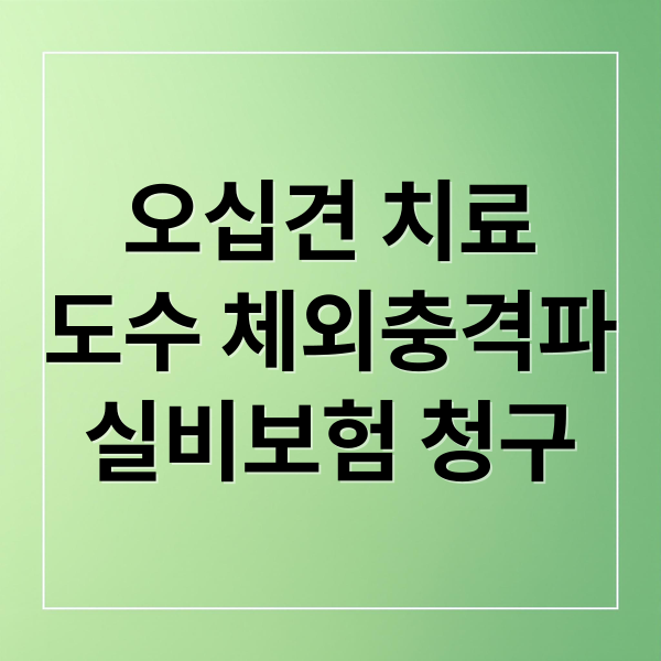 오십견 치료도수 체외충격파실비보험 청구 (오십견 실비 청구 2차 치료)