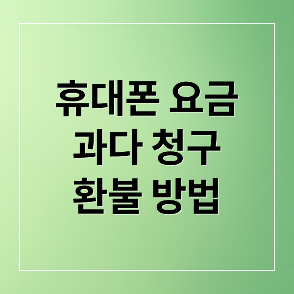 휴대폰 요금
과다 청구
환불 방법 (휴대폰 요금 과다 청구 환불)