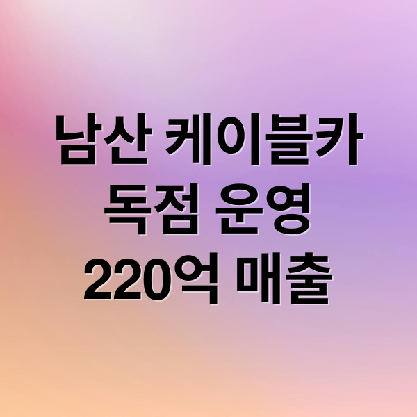 남산 케이블카
독점 운영
220억 매출 (남산 케이블카 독점 비밀)