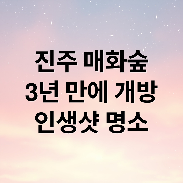 진주 매화숲
3년 만에 개방
인생샷 명소 (진주 매화숲 명소)
