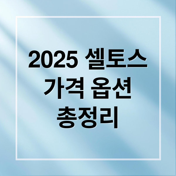 2025 셀토스가격 옵션총정리 (2025 셀토스 가격)