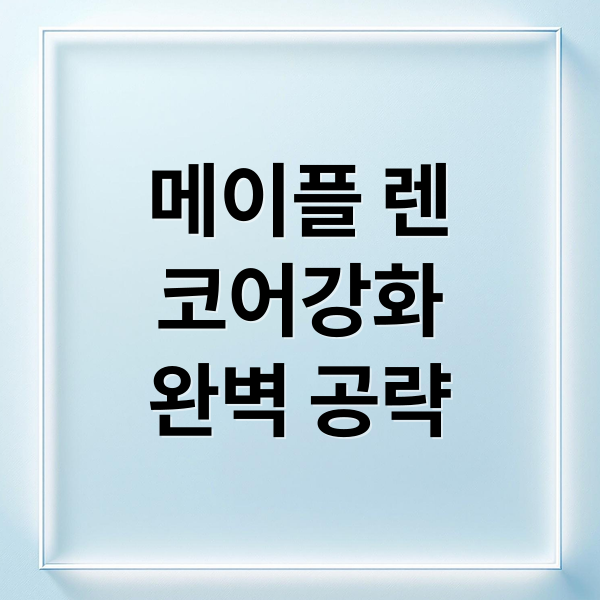 메이플 렌
코어강화
완벽 공략 (메이플스토리 렌 코어강화)