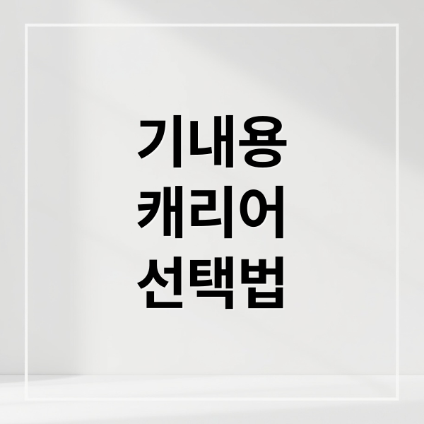 기내용
캐리어
선택법 (기내용캐리어)