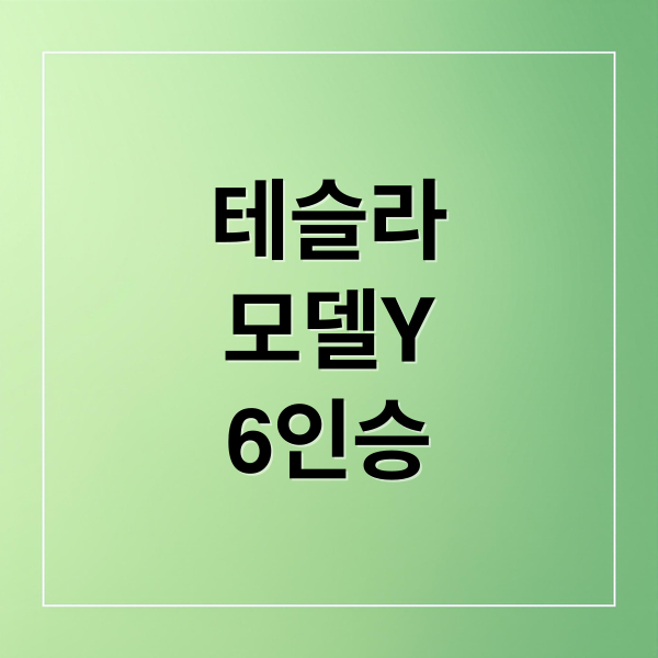 테슬라
모델Y
6인승 (테슬라 모델Y 2열 3열 승차감)