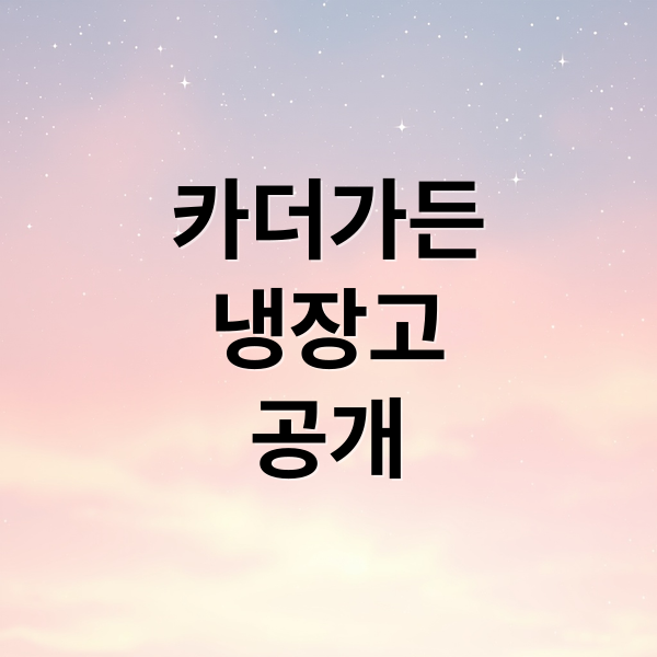 카더가든
냉장고
공개 (카더가든 치킨)