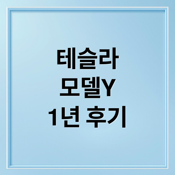 테슬라 모델Y 1년 후기