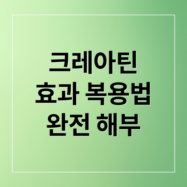 크레아틴
효과 복용법
완전 해부 (크레아틴 복용법 효과 부작용)