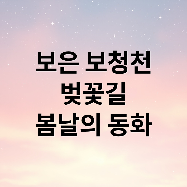 보은 보청천
벚꽃길
봄날의 동화 (보은 보청천 벚꽃길)
