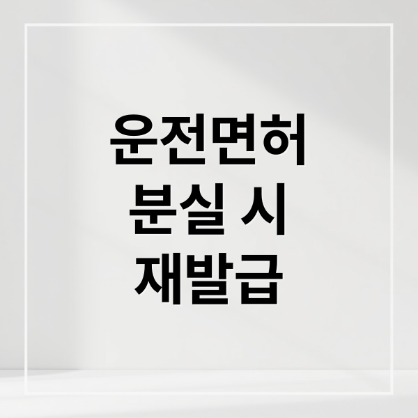 운전면허
분실 시
재발급 (운전면허증 재발급 절차)