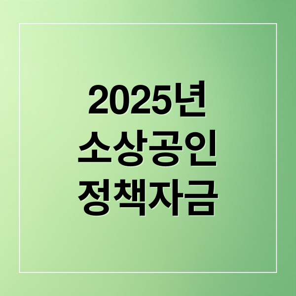 2025년 소상공인 정책자금