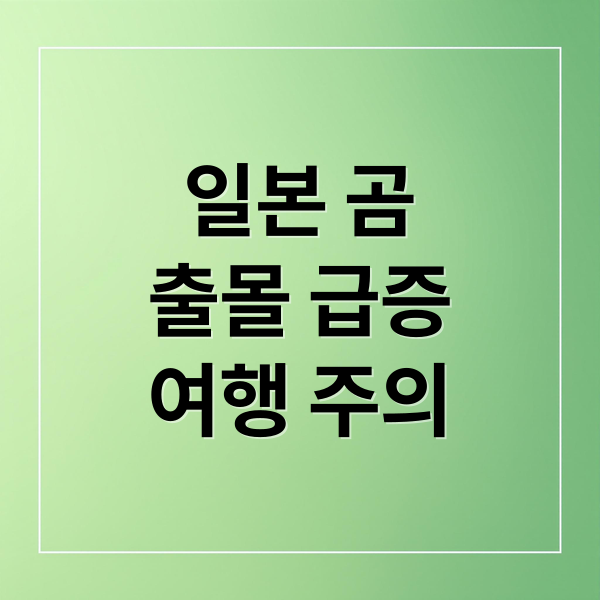 일본 곰
출몰 급증
여행 주의 (일본 곰 습격 도심 위협)