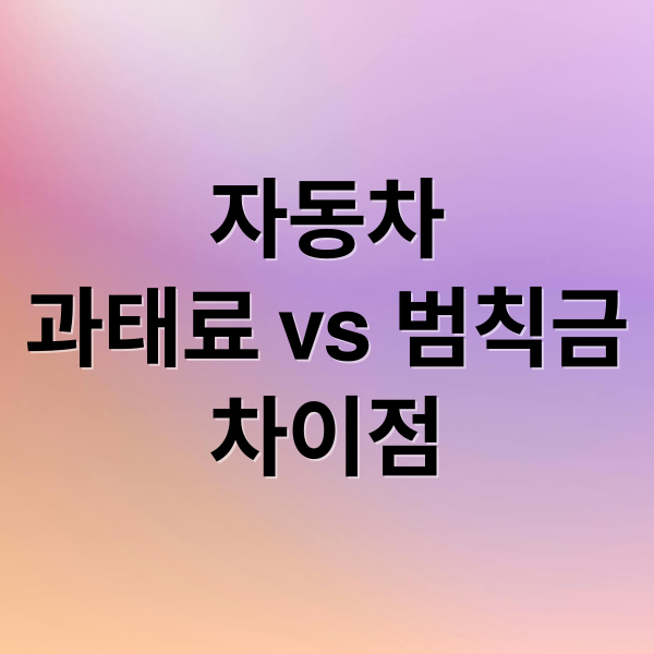 자동차
과태료 vs 범칙금
차이점 (자동차 과태료)