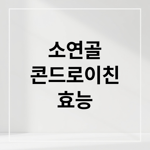소연골
콘드로이친
효능 (소연골 콘드로이친 효능 부작용)