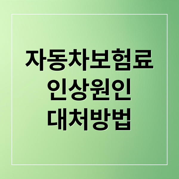 자동차보험료
인상원인
대처방법 (자동차보험 인상 요율 조회)
